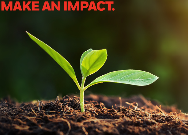 Make an Impact graphic, plant growing in soil